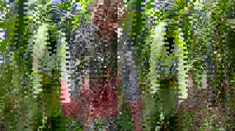 Starkare samhällen i Eswatini, Tadzjikistan och Somalia