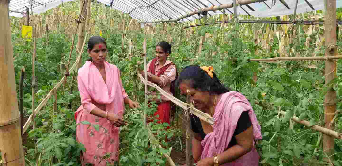 Tre kvinnor som odlar växter.