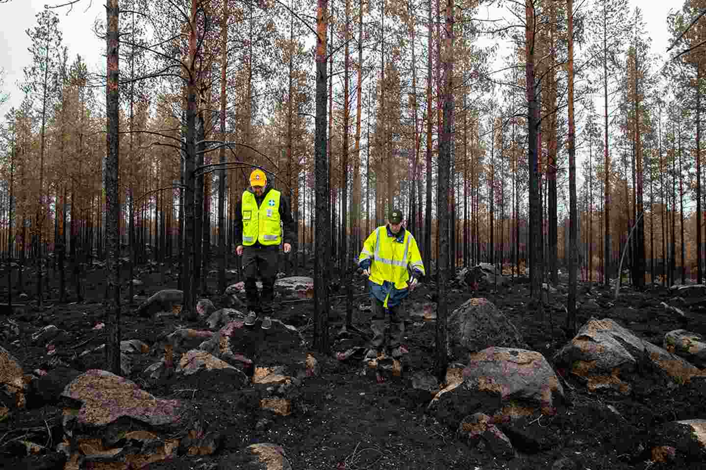Två av Frivilliga räddningstjänstens frivilliga i gul väst går i den eldhärjade skogen.