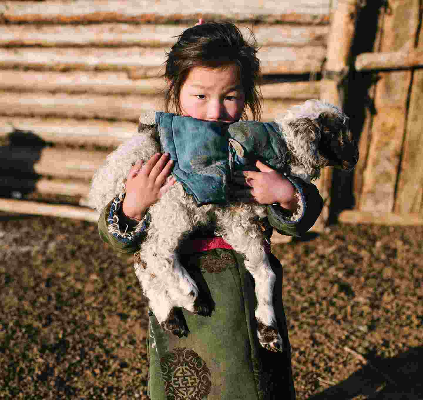 En liten mongolisk flicka med ett lamm i famnen.