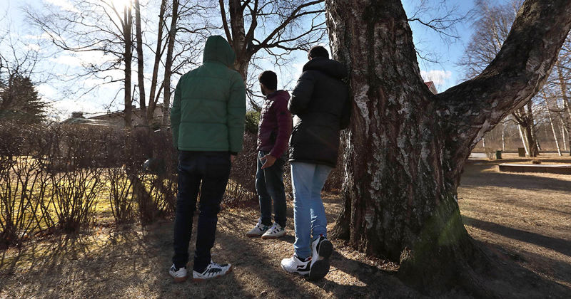Rådgivning för personer utan uppehållsrätt