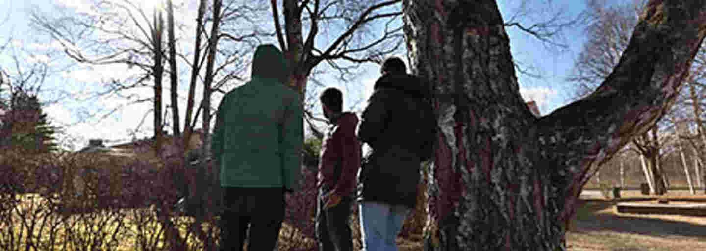 Tre unga män som kommit till landet i en solbelyst höstpark.