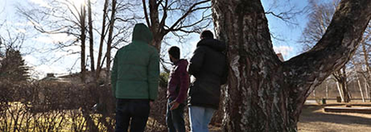Tre unga män som kommit till landet i en solbelyst höstpark.