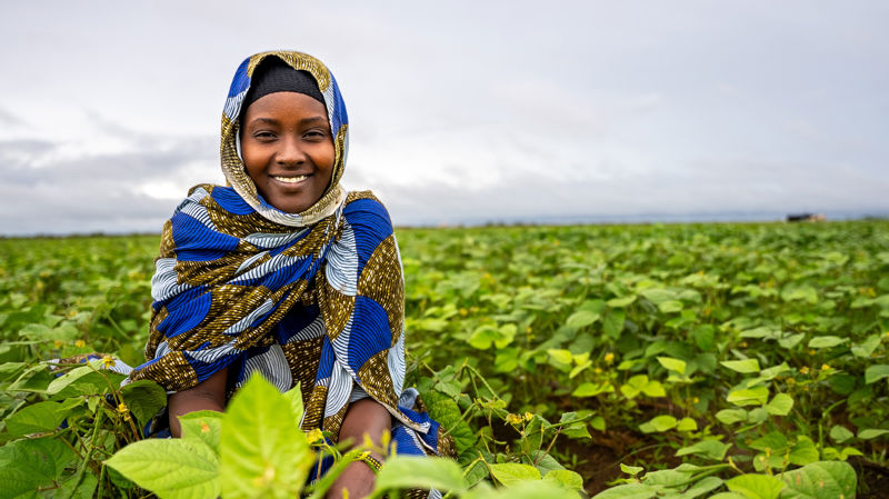 Internationellt arbete med Europeiska unionens stöd 